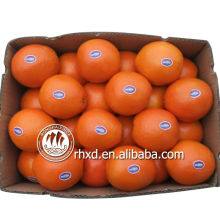 nome de todos os frutos amarelos umbigo laranja tangerina limão citrinos